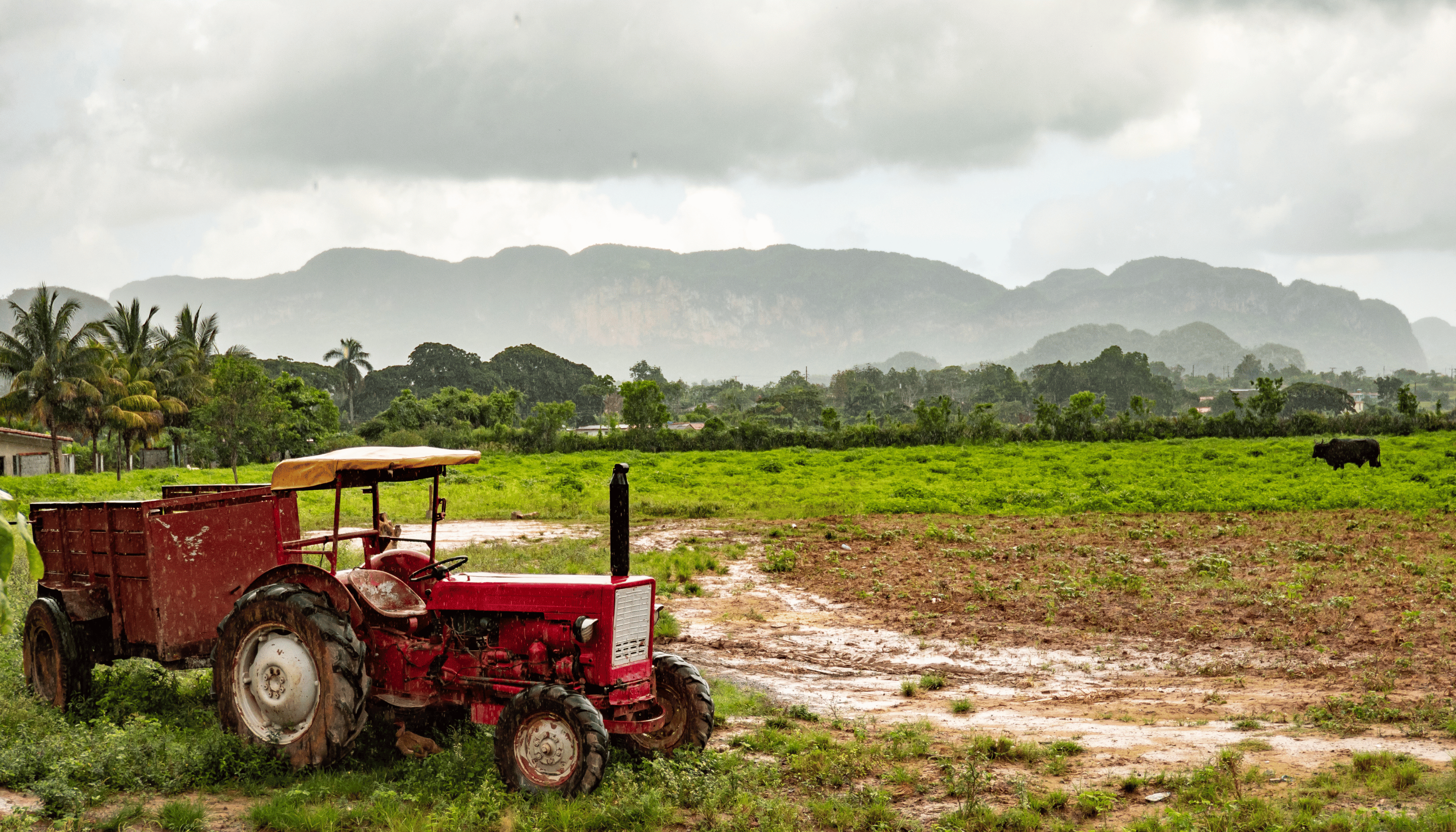 Viñales