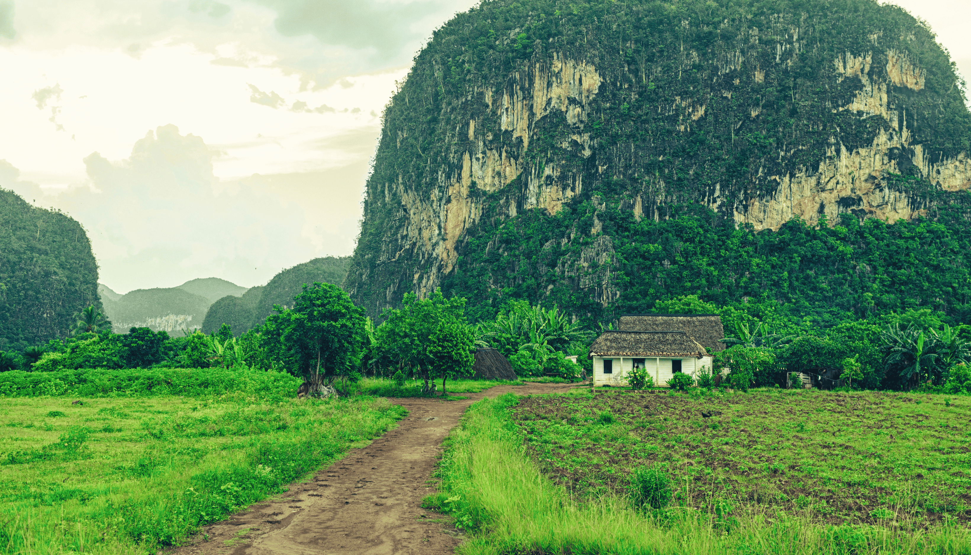 Viñales