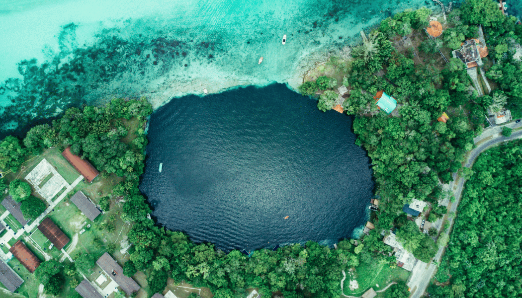 Bacalar