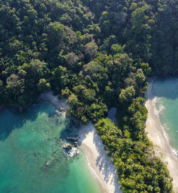 Tortuguero1