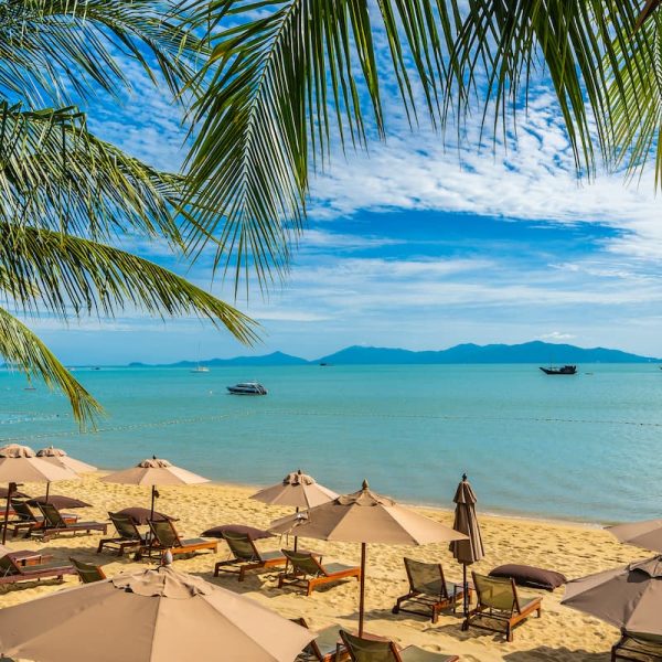 beautiful-tropical-beach-sea-ocean-with-coconut-palm-tree-umbrella-chair-blue-sky (1)